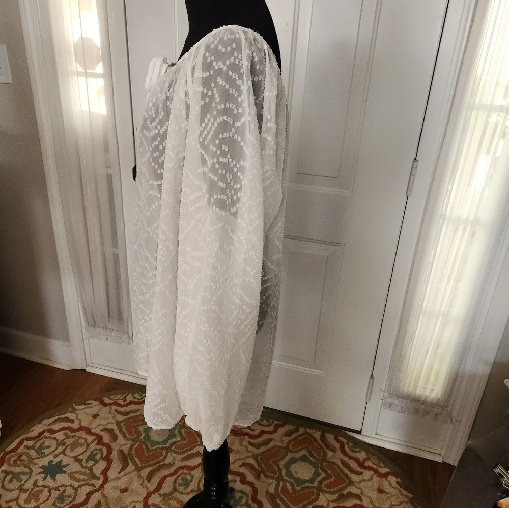 Jessica Simpson White Long Sleeve Dotted Swiss Sheer Blouse Size Plus 1X - Picture 5 of 7
